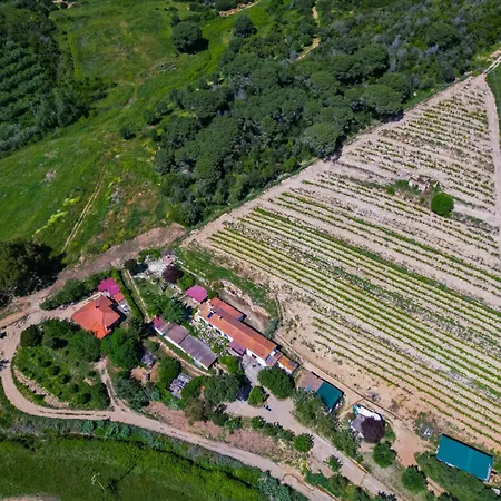 Podere Al Buraccio - Elba Affitti شقة بورتوفيرّايو